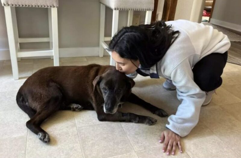Fiona, a kutya megható története virálissá vált a közösségi médiában