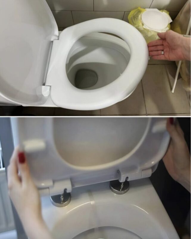 A titkos funkció a WC-n, amit nem ismertem, amíg a sógornőm meg nem mutatta!